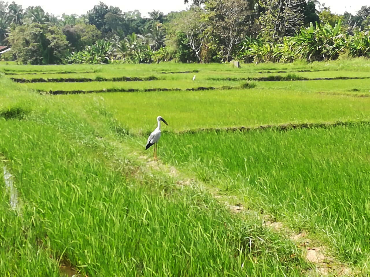 Cycling Tours in Sri Lanka