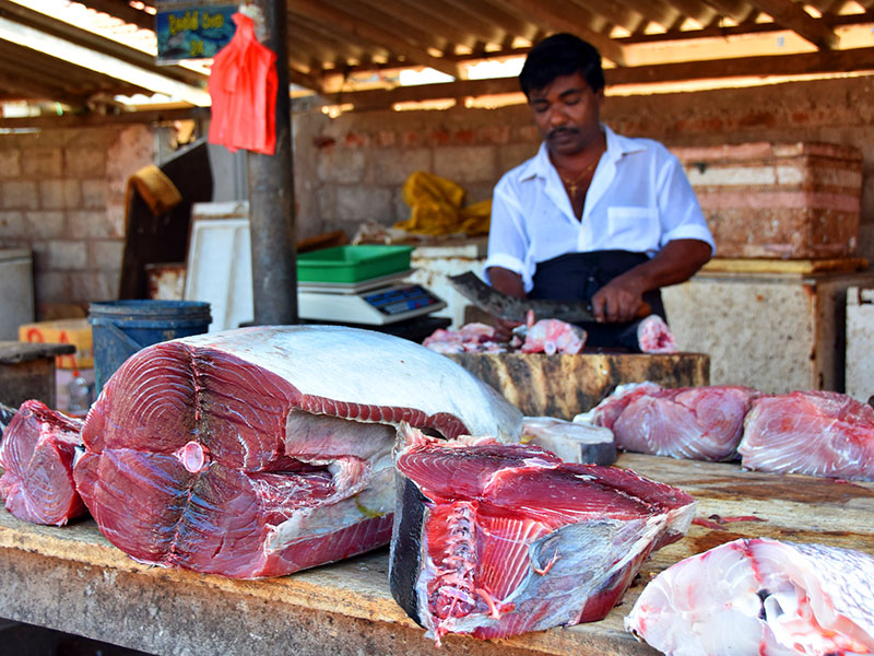 Cycling Tours in Sri Lanka