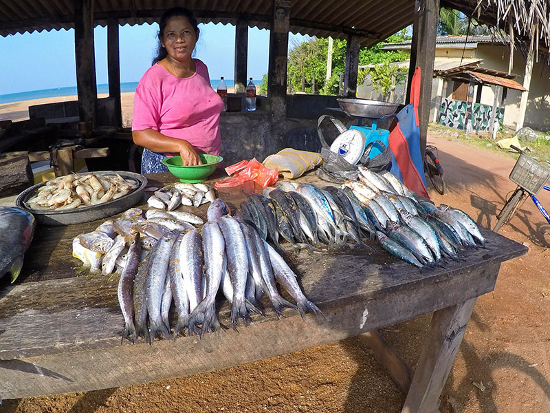 Cycling Tours in Sri Lanka