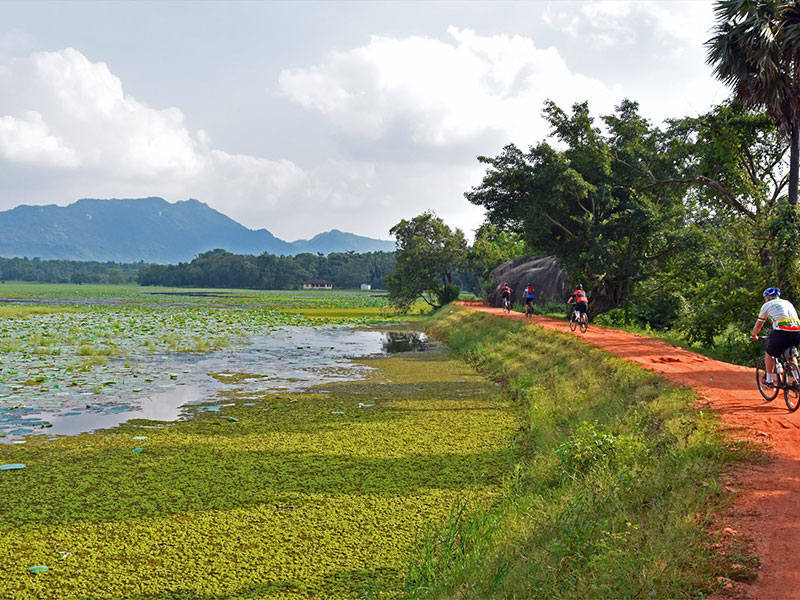 Cycling Tours in Sri Lanka