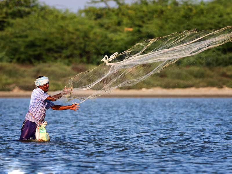 Mobile Camping, Safari and Rural Village Experience