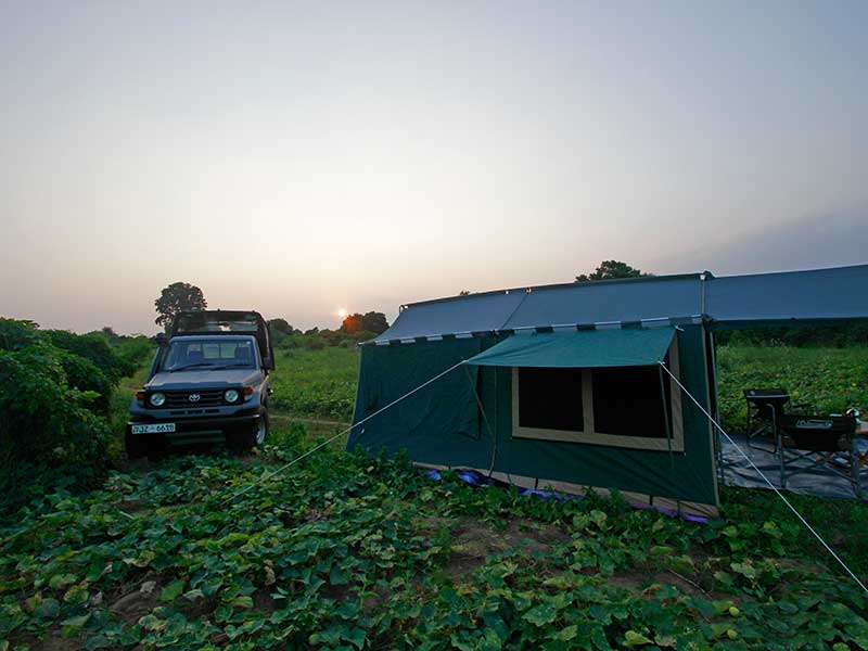 Mobile Camping, Safari and Rural Village Experience