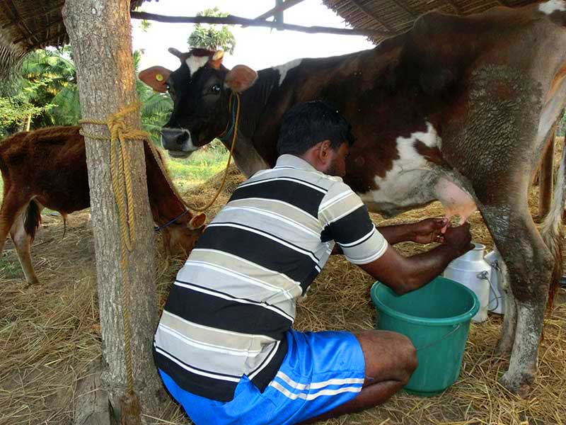 Mobile Camping, Safari and Rural Village Experience
