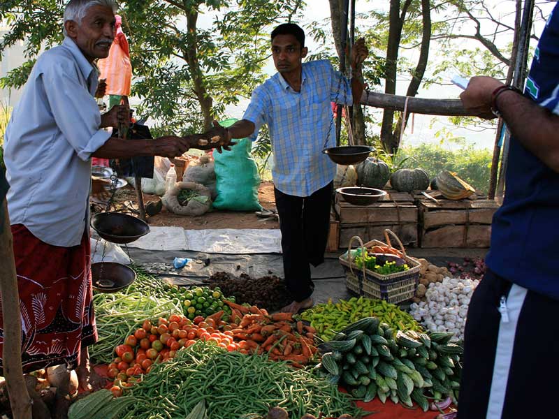 Mobile Camping, Safari and Rural Village Experience