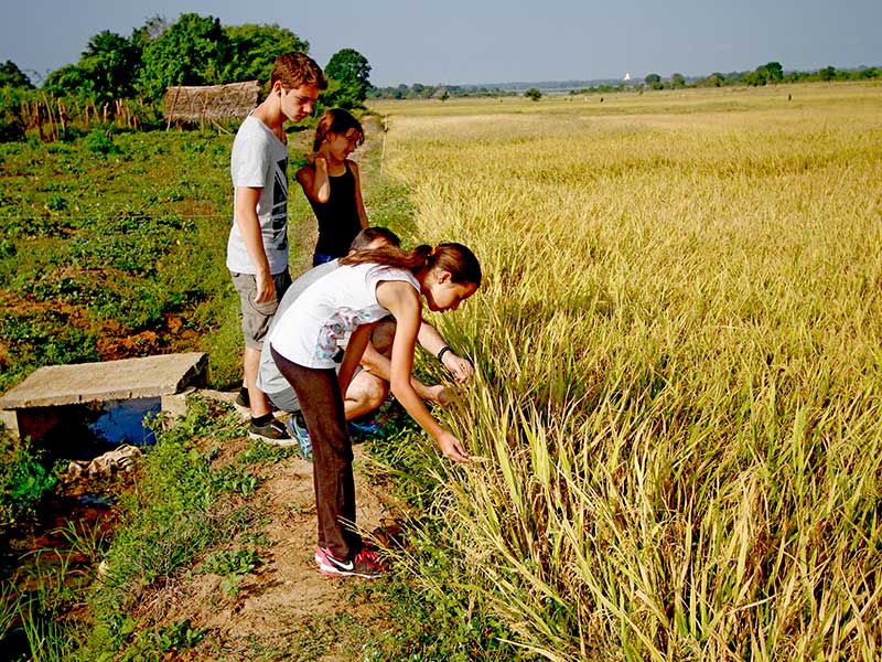 Mobile Camping, Safari and Rural Village Experience
