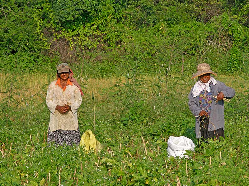 Mobile Camping, Safari and Rural Village Experience
