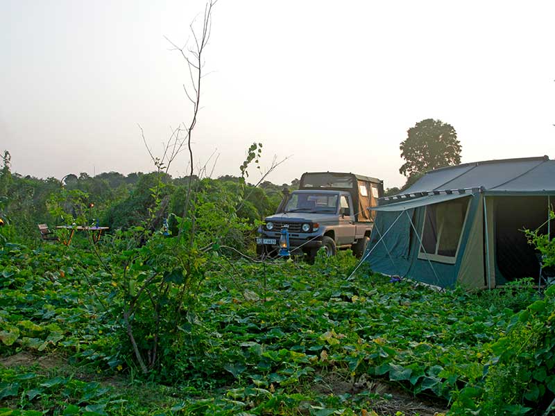 Mobile Camping, Safari and Rural Village Experience