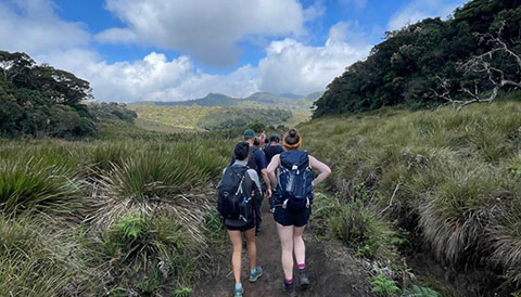 Tea Estate Trails in Haputale