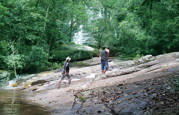 Sinharaja Rainforest Trekking Tour - 2 Nights 3 Days