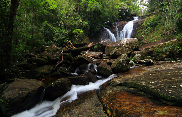 Sinharaja Rainforest Trekking Tour - 2 Nights 3 Days