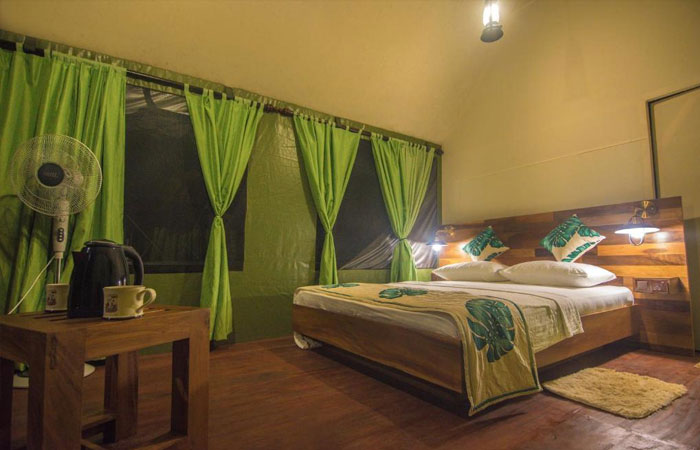 Sinharaja Rainforest Trekking Tour - 2 Nights 3 Days
