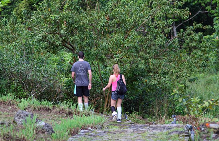 Sinharaja Rainforest Trekking Tour - 2 Nights 3 Days