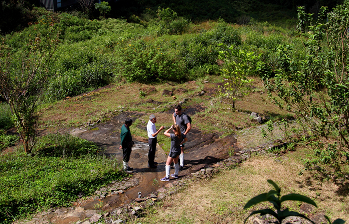 Sinharaja Rainforest Trekking Tour - 2 Nights 3 Days