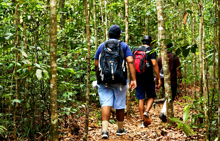 Sinharaja Rainforest Trekking Tour - 1 Night 2 Days