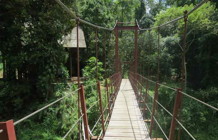 Sinharaja Rainforest Trekking Tour - 1 Night 2 Days