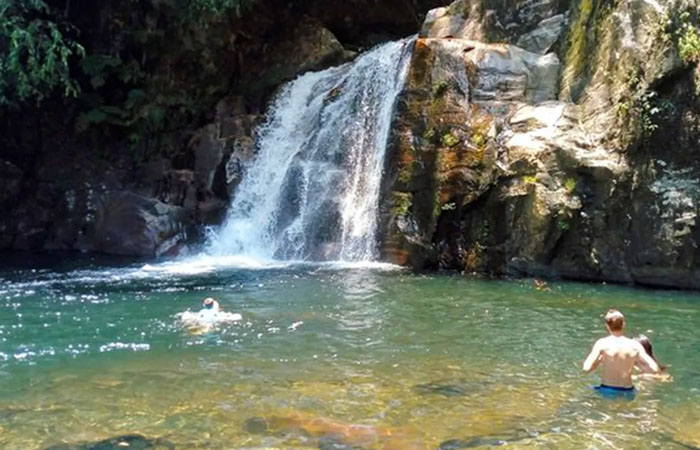 Sinharaja Rainforest Trekking Tour - 1 Night 2 Days