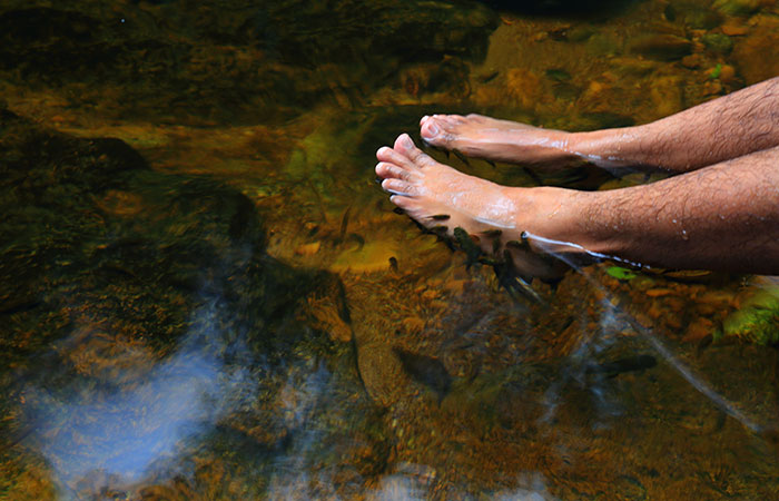 Sinharaja Rainforest Trekking Tour - 1 Night 2 Days