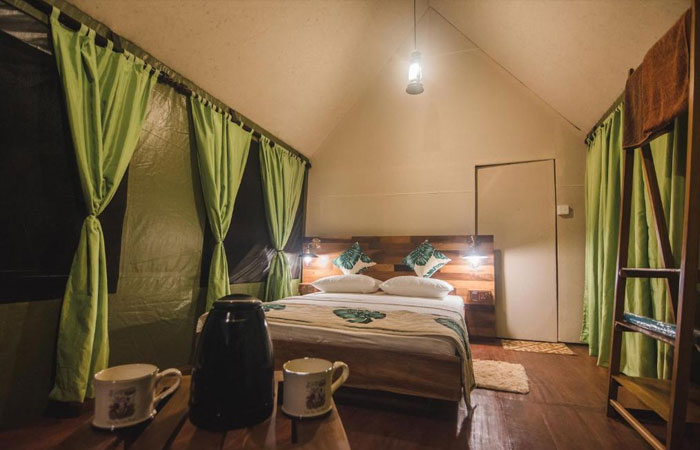 Sinharaja Rainforest Trekking Tour - 1 Night 2 Days