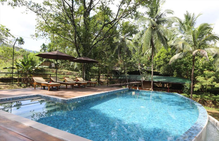 Sinharaja Rainforest Trekking Tour - 1 Night 2 Days