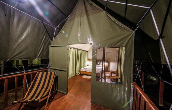 Sinharaja Rainforest Trekking Tour - 1 Night 2 Days