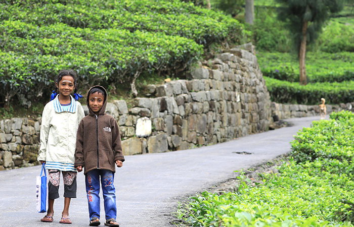 Tea estate Trekking Tour from Haputale to Bandarawela