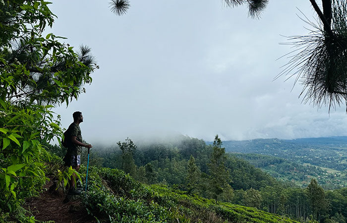 Scenic Train and Trekking Trips in Sri Lanka