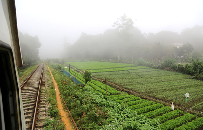 Scenic Train and Trekking Trips in Sri Lanka