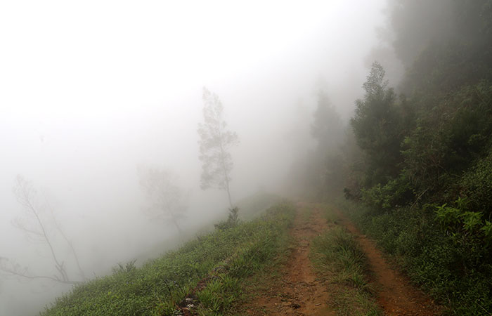 Scenic Train and Trekking Trips in Sri Lanka