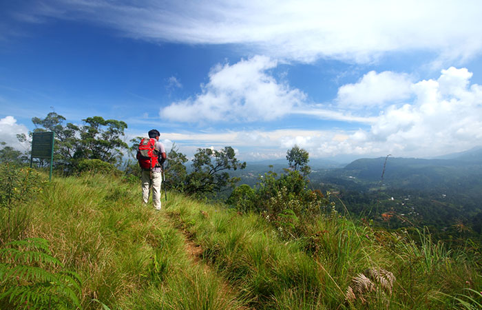 Scenic Train and Trekking Trips in Sri Lanka