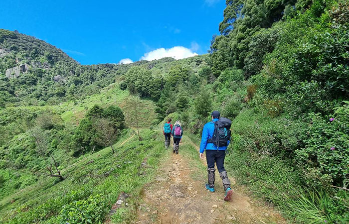 Scenic Train and Trekking Trips in Sri Lanka