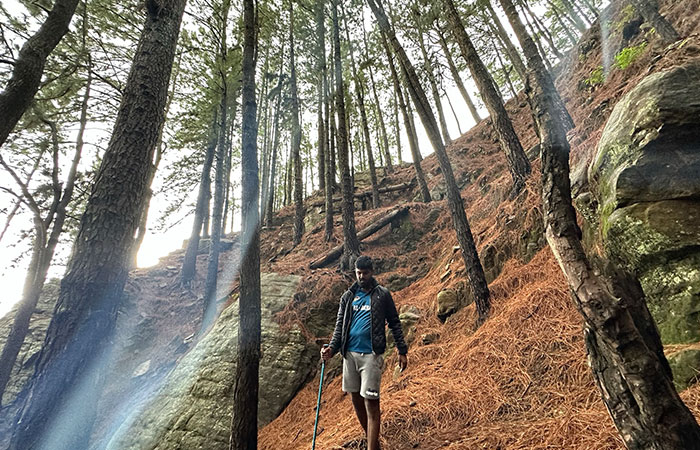 Scenic Train and Trekking Trips in Sri Lanka