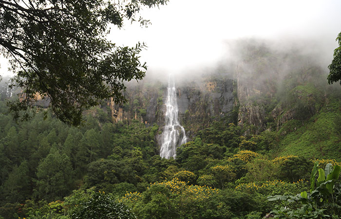 Scenic Train and Trekking Trips in Sri Lanka