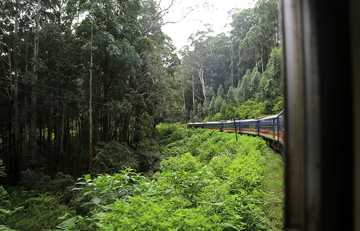 Scenic Train and Trekking Trips in Sri Lanka