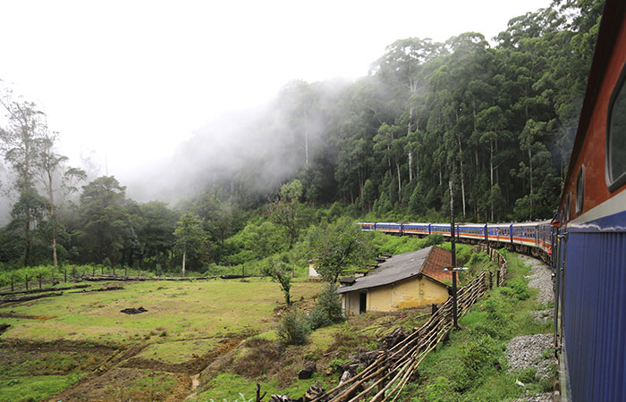 Scenic Train and Trekking Trips in Sri Lanka