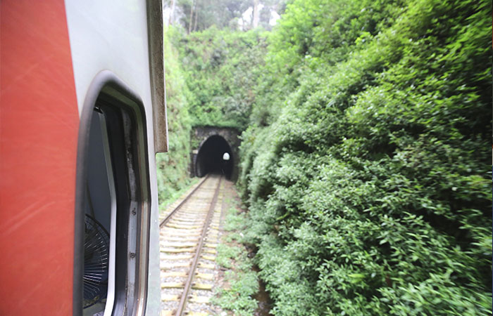 Scenic Train and Trekking Trips in Sri Lanka