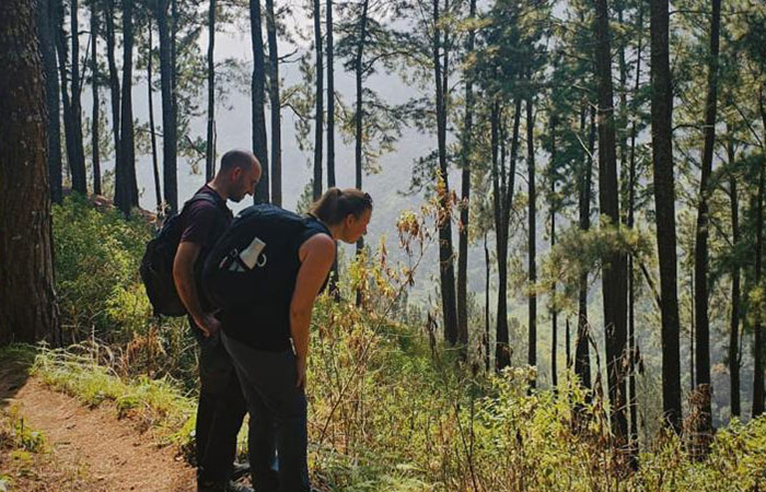 Scenic Train and Trekking Trips in Sri Lanka