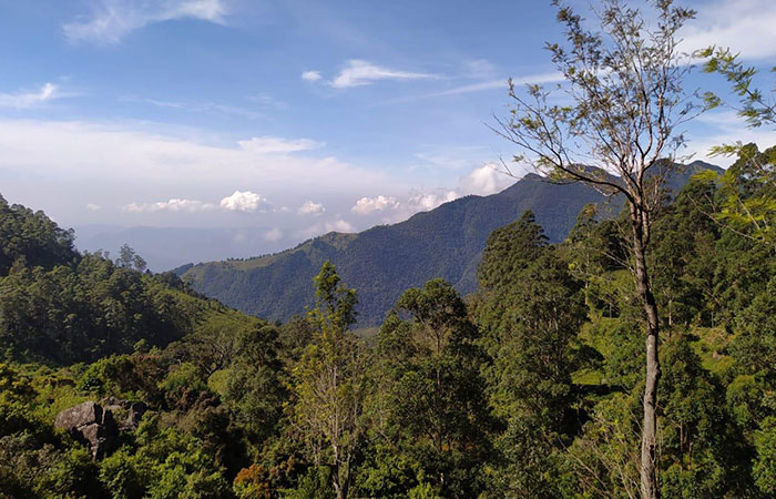 Scenic Train and Trekking Trips in Sri Lanka