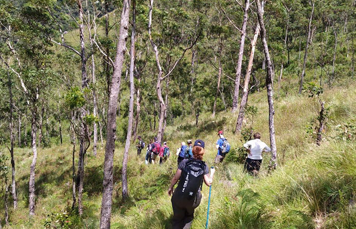Scenic Train and Trekking Trips in Sri Lanka