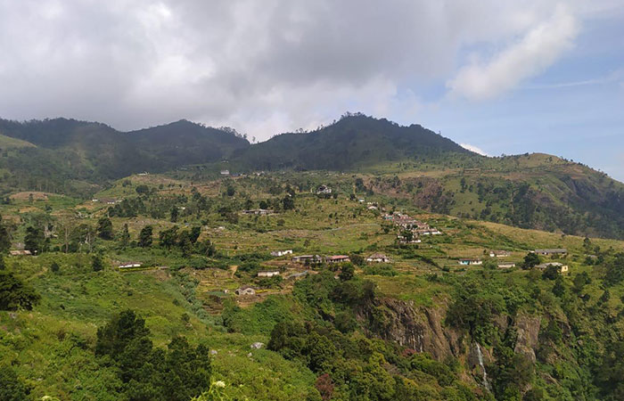 Scenic Train and Trekking Trips in Sri Lanka