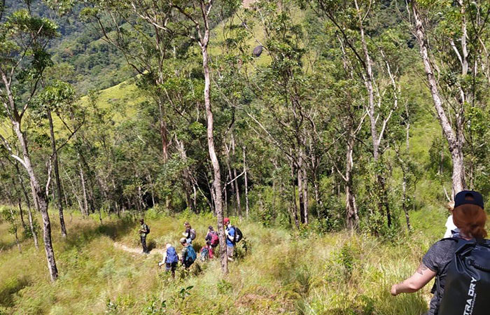 Scenic Train and Trekking Trips in Sri Lanka