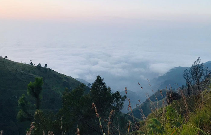 Scenic Train and Trekking Trips in Sri Lanka
