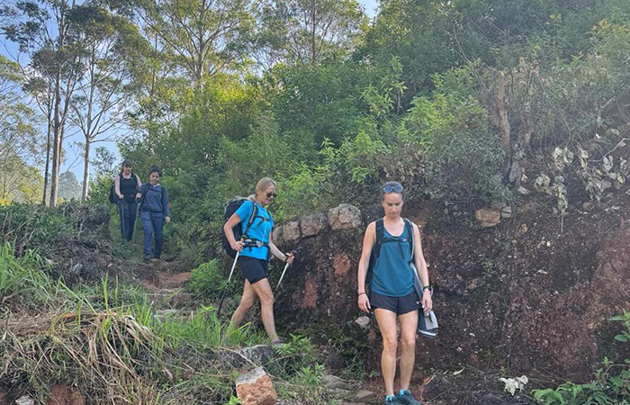 Scenic Train and Trekking Trips in Sri Lanka