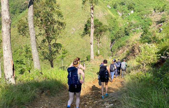 Scenic Train and Trekking Trips in Sri Lanka
