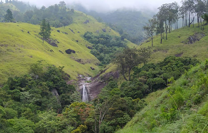 Scenic Train and Trekking Trips in Sri Lanka