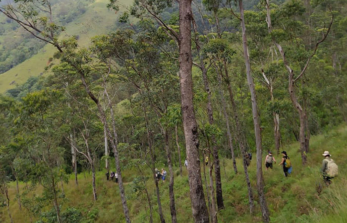 Scenic Train and Trekking Trips in Sri Lanka