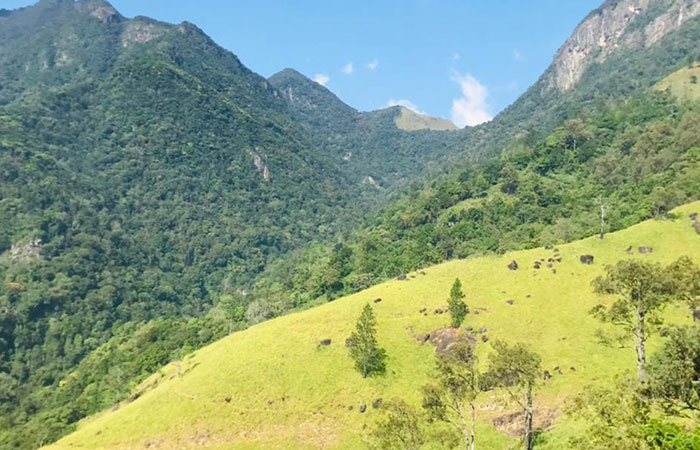 Scenic Train and Trekking Trips in Sri Lanka