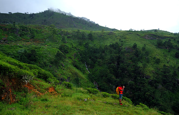 Pekoe Trail Trekking Tour with stage 12 and Bambarakanda Waterfall