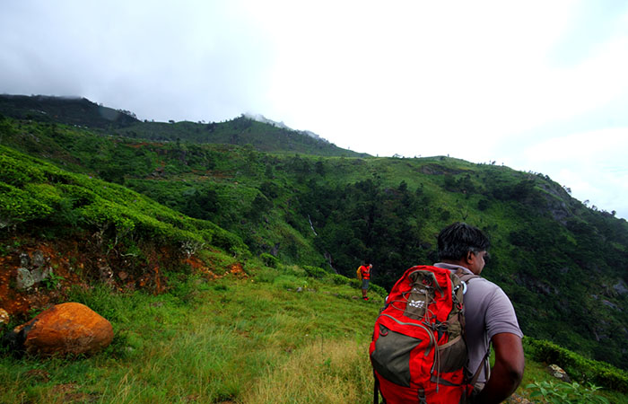Pekoe Trail Trekking Tour with stage 12 and Bambarakanda Waterfall