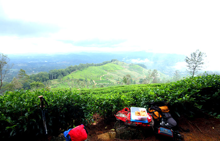 Pekoe Trail Trekking Tour with stage 12 and Bambarakanda Waterfall