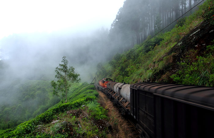 Pekoe Trail Trekking Tour with stage 12 and Bambarakanda Waterfall